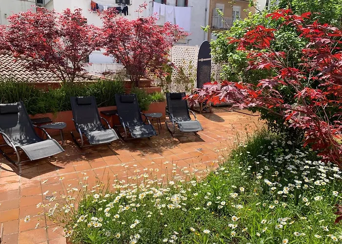 Txiki Polit Pensionat 2*