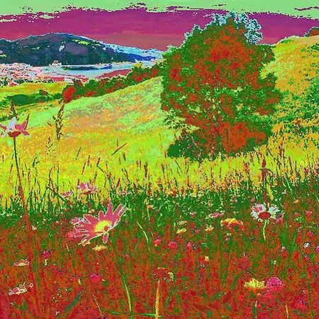 ゲストハウス Txiki Polit サラウツ